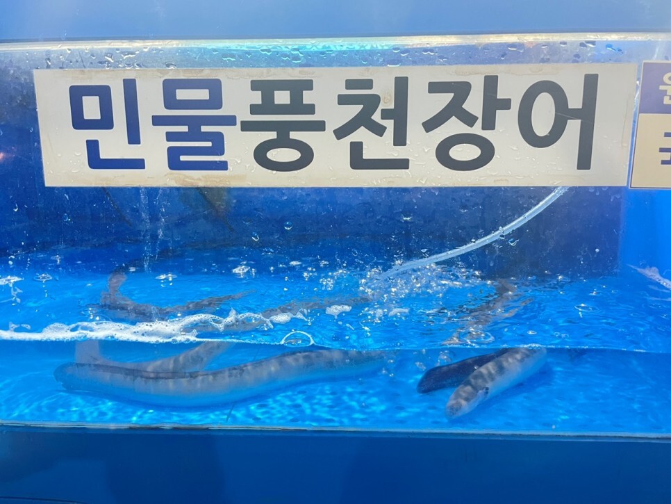 산꼼장어민물장어 이미지
