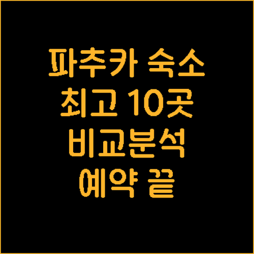 파추카 숙소 예약 고민 끝 최고의 선