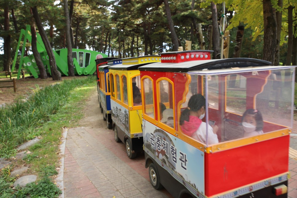 기발한 여행코스, 갈만한 곳이 많아요! 영덕에서 울진으로 넘어가면 2