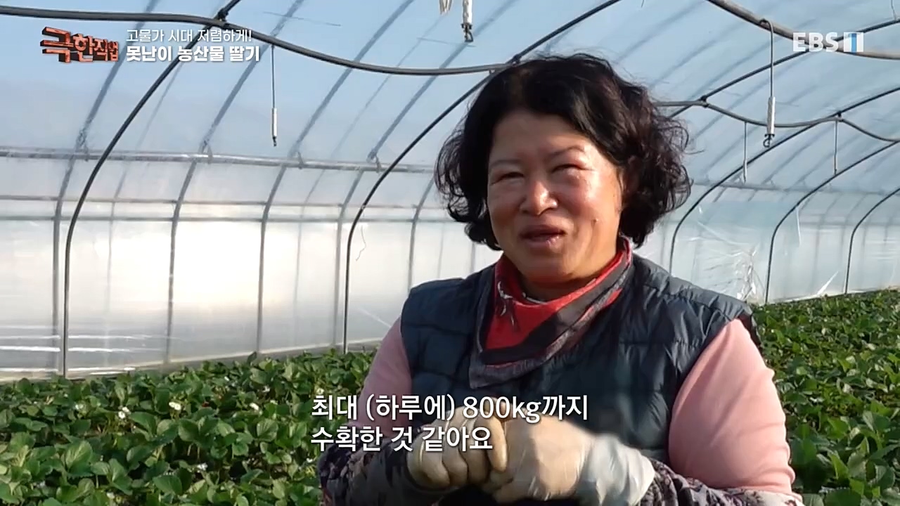극한직업.E1046.221232p-NEXT.mp4_20230103_200851.180.jpg