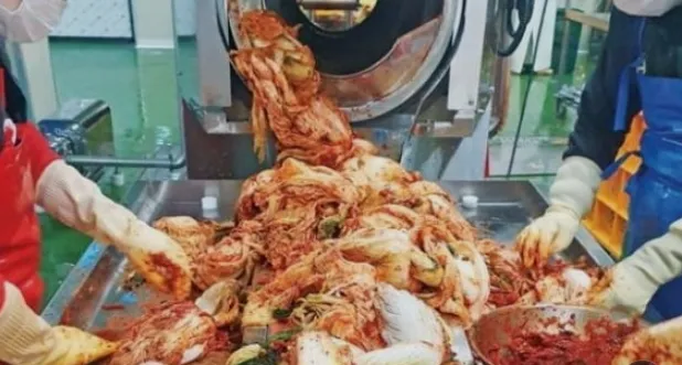 김장 절임배추 추천 best 3 온라인 신청하기