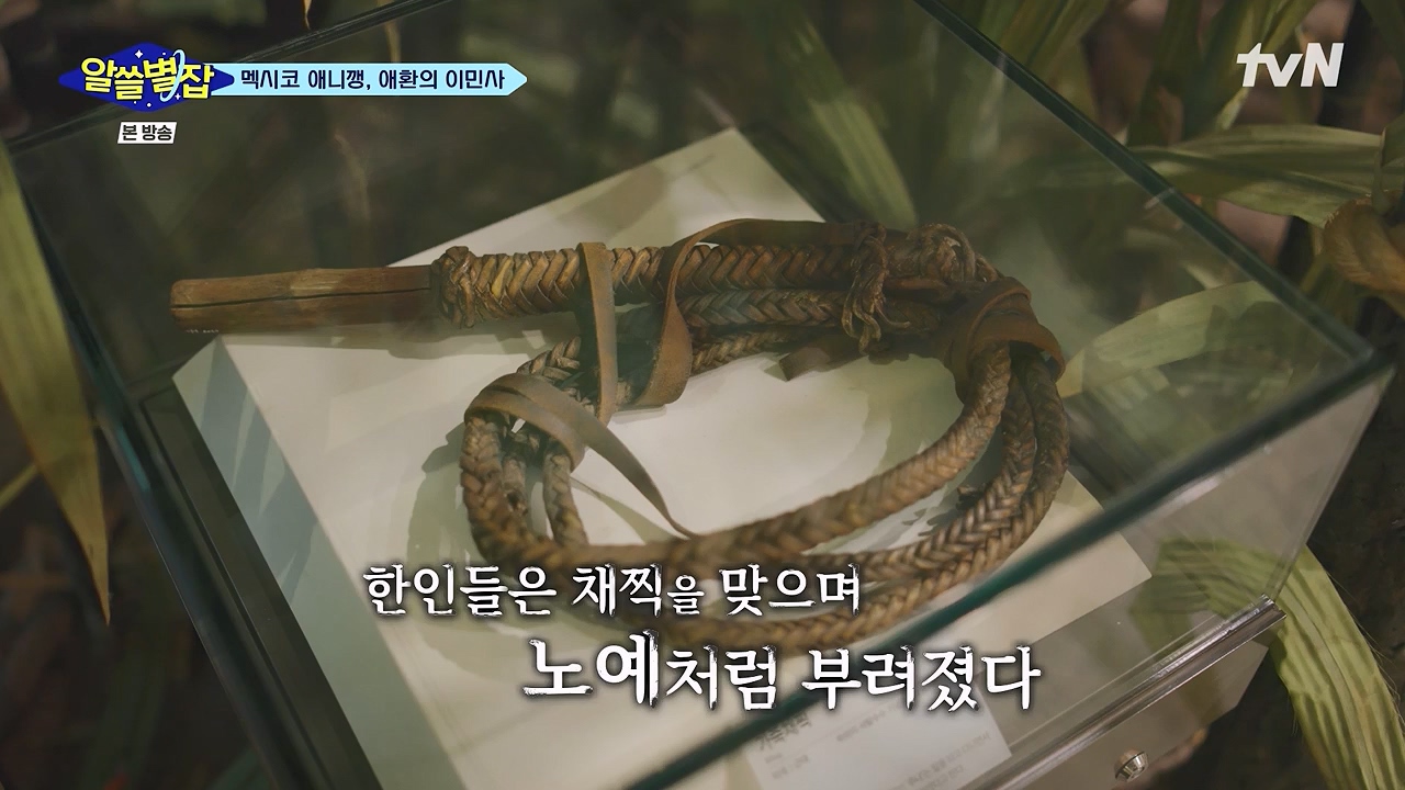 알쓸별잡.E06.230908p-NEXT.mp4_20230916_151200.270.jpg