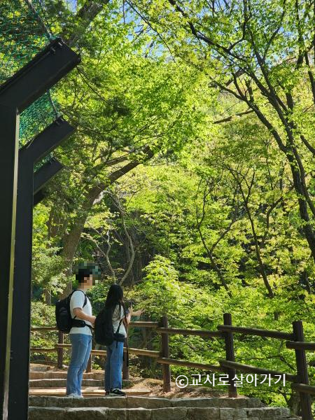 석굴암에서-불국사-가는-길