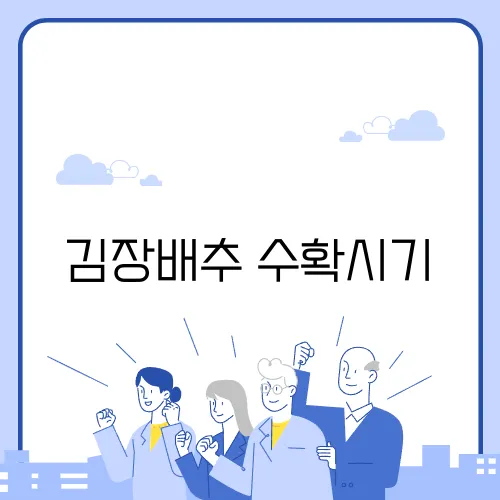 김장배추 수확시기