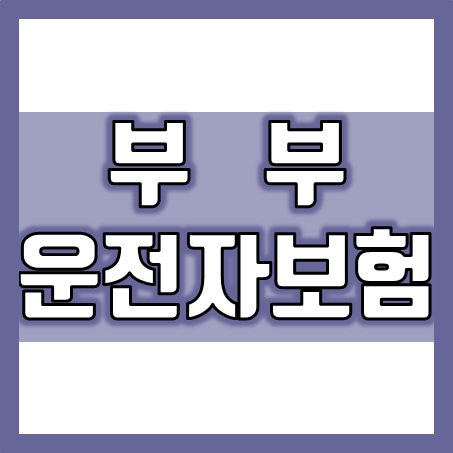  부부운전자보험 비교 가입 및 가격에 대한 설명과 추천 방향