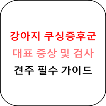  강아지 쿠싱증후군 증상과 치료방법 및 부작용, 견주 필수 가이드