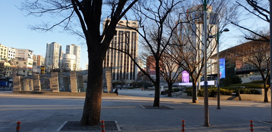 티비조선3 [방송촬영]렌트카차량지원 8