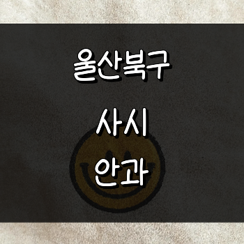 울산 북구 사시 병원