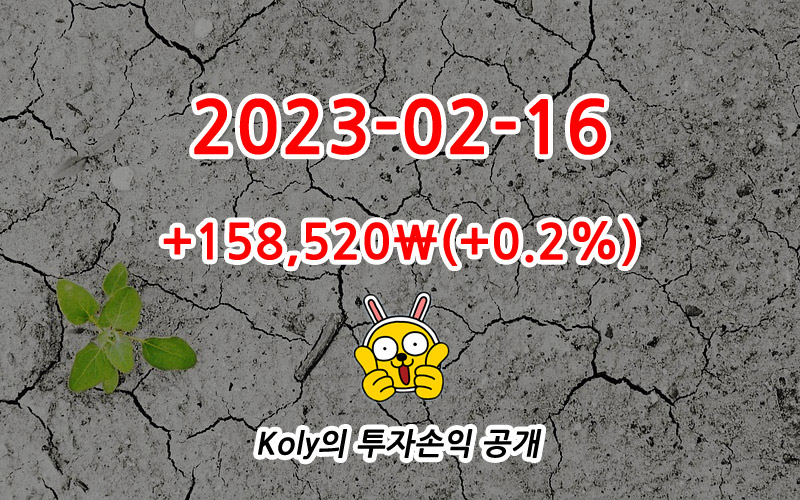 Koly의 주식투자 손익 공개
