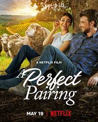  퍼펙트 페어링 (A Perfect Pairing) 영화 리뷰와 감상 포인트