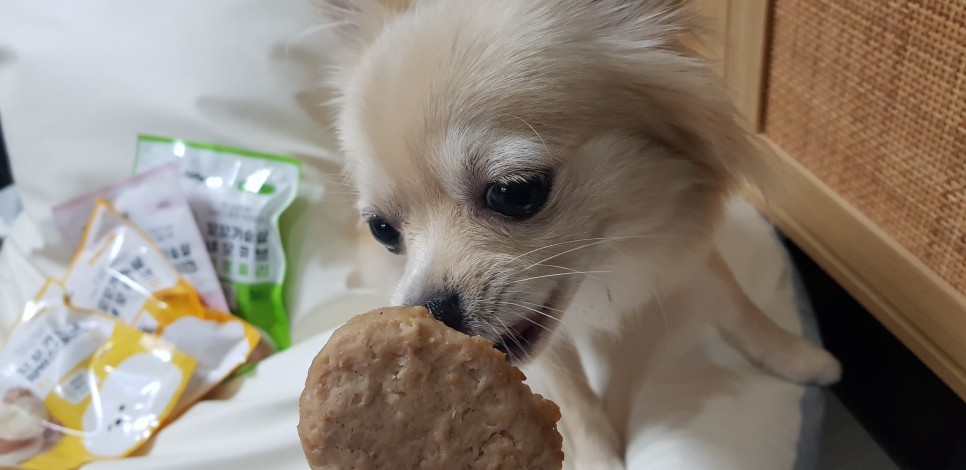 [강아지간식]허닭x핏펫몰 꼬꼬가슴살 맛있는 냄새로 1