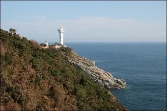 거문도 배편 시간표 예매 요금_17