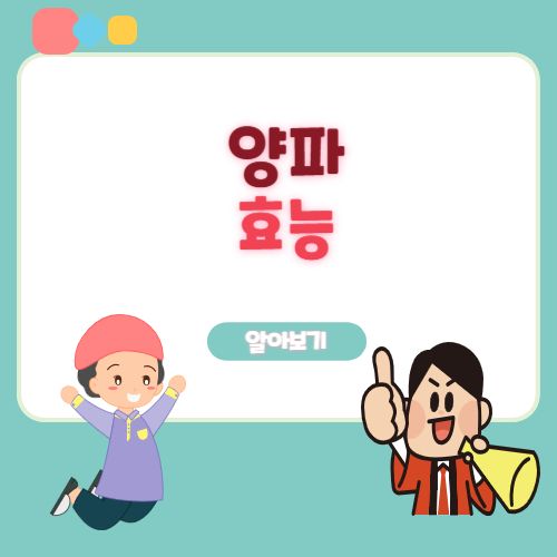 양파 효능