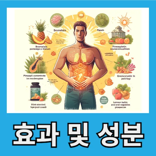 톡스웰 다이어트의 효과 및 성