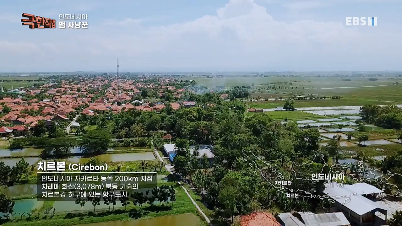 TV - 교육의 중심 EBS인도네시아 뱀사냥꾼.mp4_20221211_181455.819.jpg