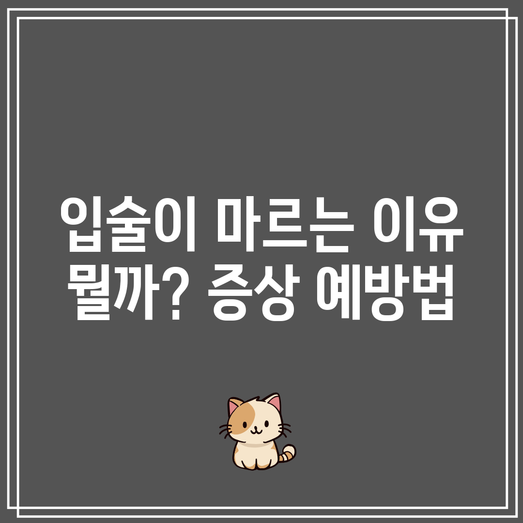 입술이 마르는 이유 뭘까 증상 예방법