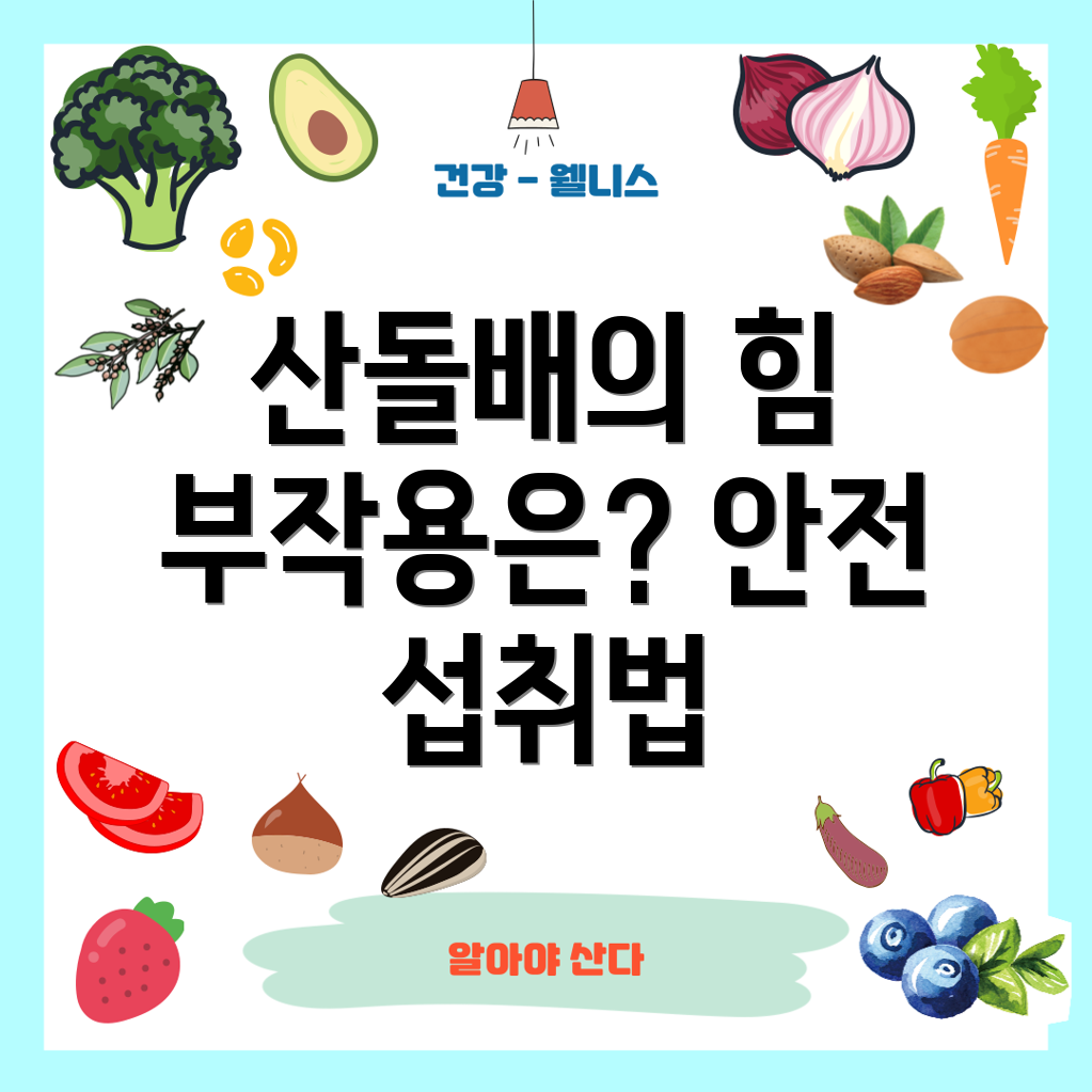 산돌배 효능