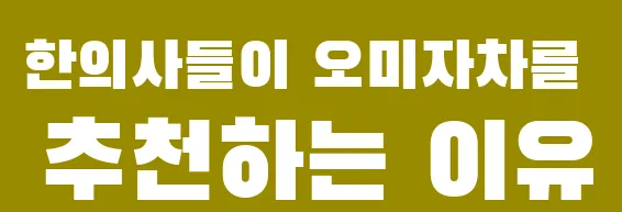 한의사들이 오미자차를 추천하는 이유