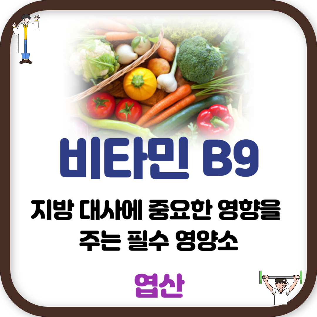 비타민 B9 (엽산): 지방 대사에 중요한 영향을 주는 필수 영양소