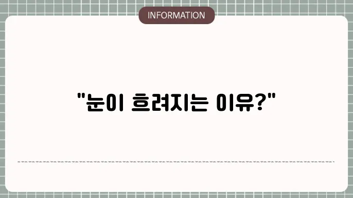 백내장원인: 