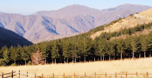 간월재 억새 평야-등산 코스-가는 길