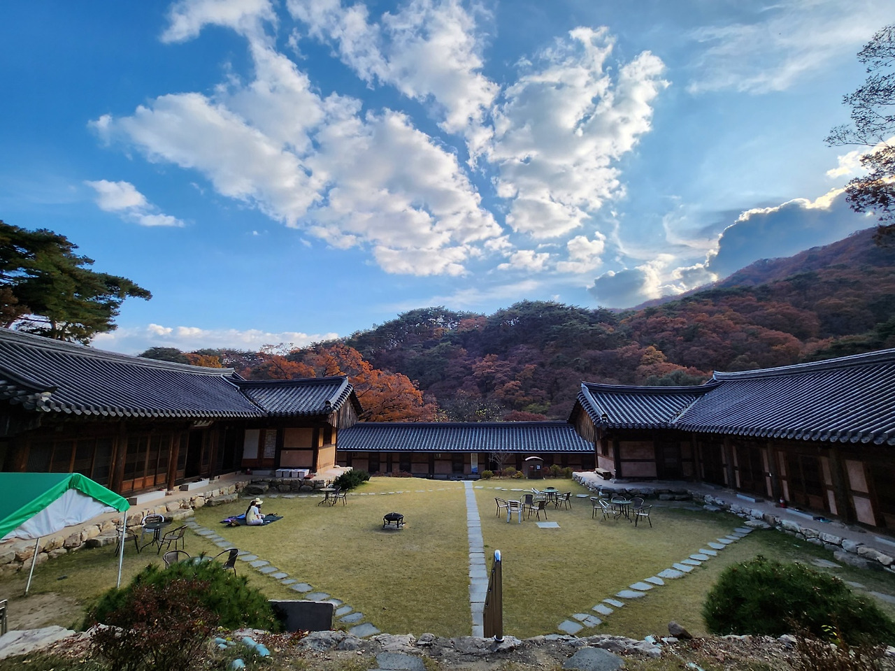 용문사 이미지