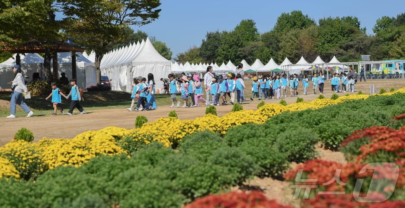 드림파크 국화축제