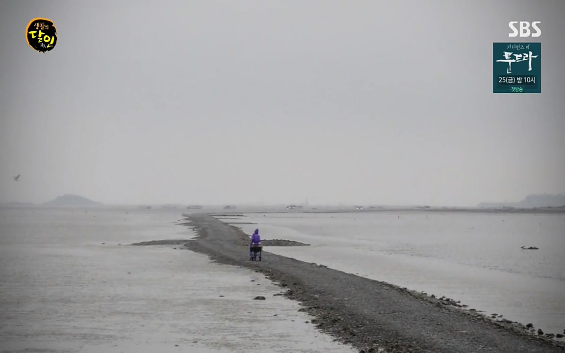 생활의 달인.E835.220322p-NEXT.mp4_20220322_182037.255.jpg