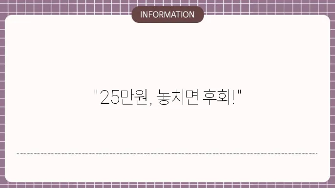 정부지원금 25만원: 신청 및 사용 가이드