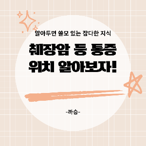 췌장암 등 통증