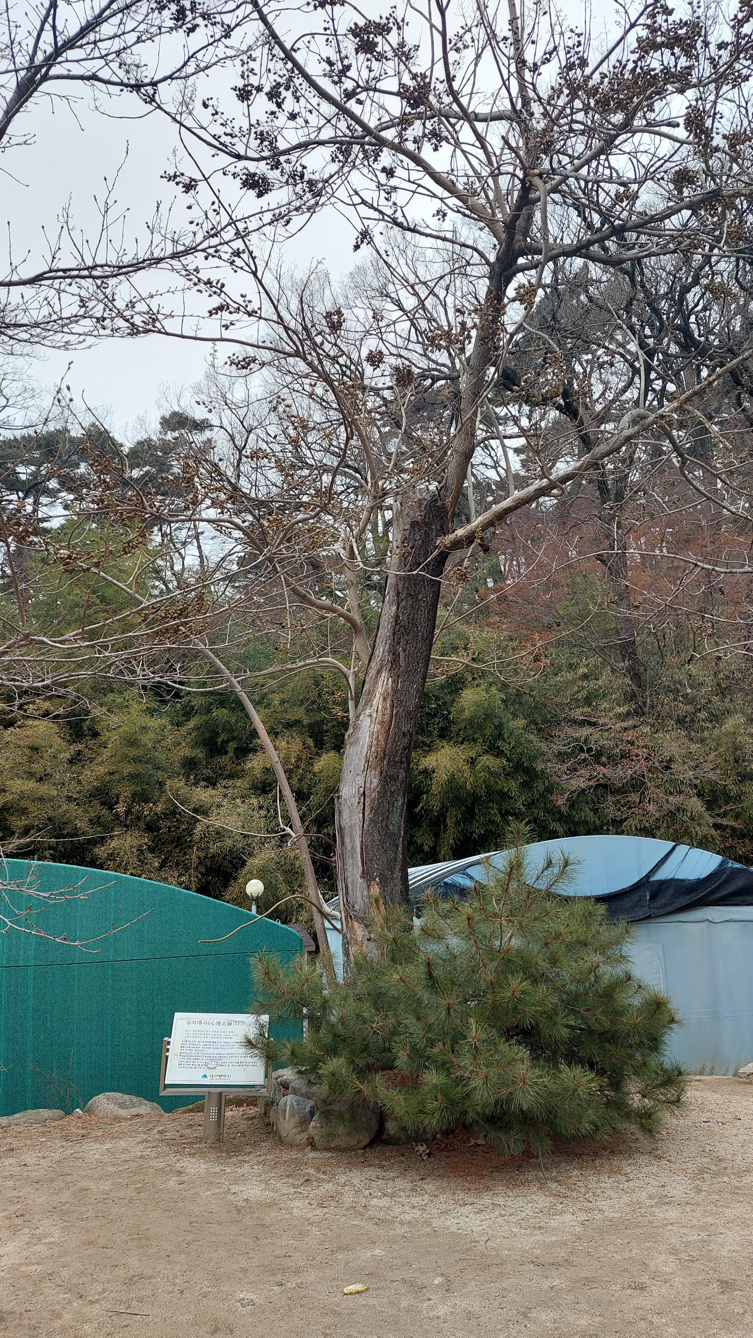 팔공산 동화사 120