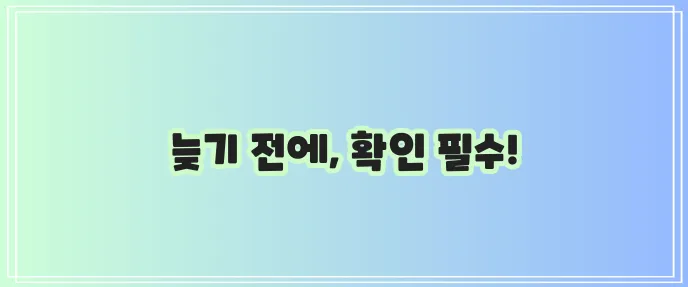 노령견 펫 보험 가입 가능성을 꼭 확인하세요!