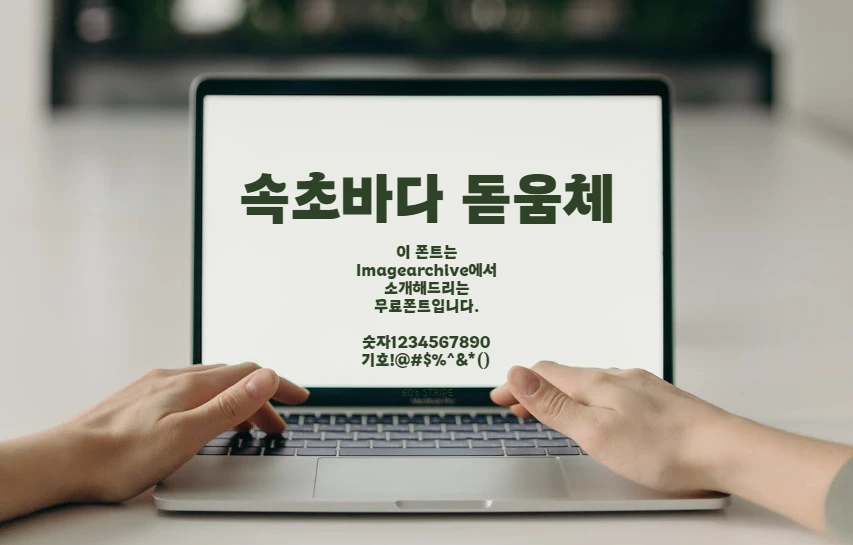 속초바다 돋움체 : 주목성 높은 굵은획과 파도의 모습을 닮은 무료 한글 폰트