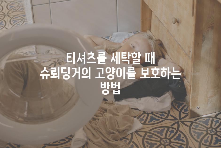 티셔츠를 세탁할 때 슈뢰딩거의 고양이를 보호하는 방법