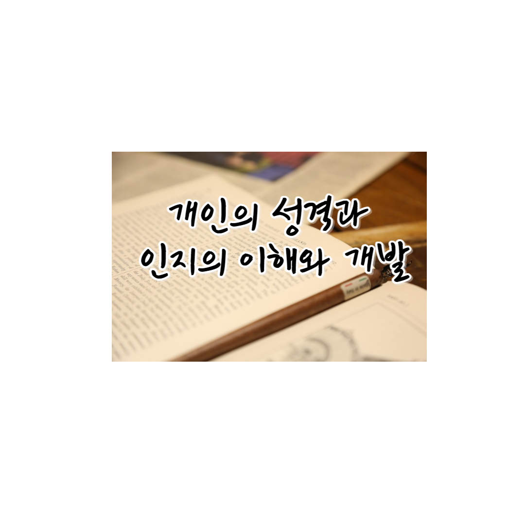  심리학:개인의 성격과 인지 스타일의 이해와 개발