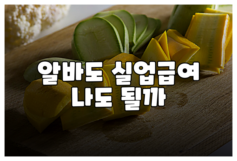 알바도 실업급여 나도 될까