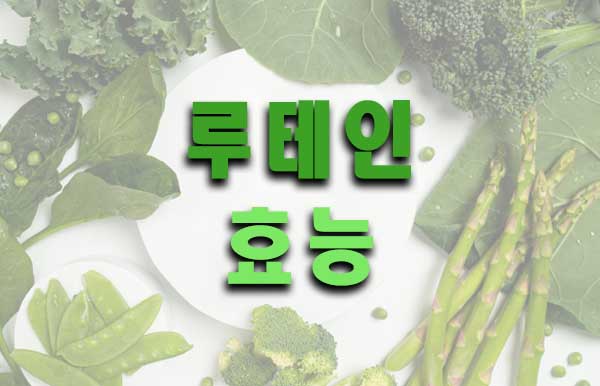  루테인 효능과 부작용 (지아잔틴, 아스타잔틴)