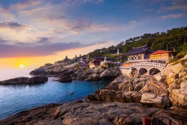 부산국제영화제 개막식 예매
