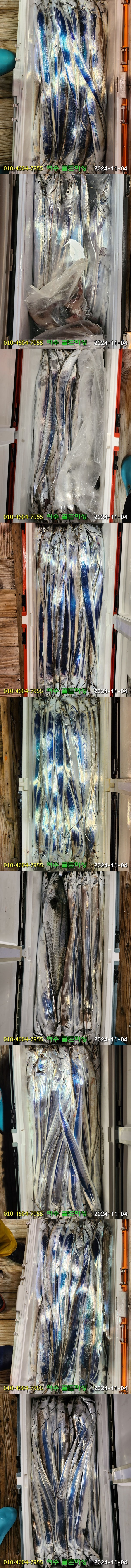 img.jpg