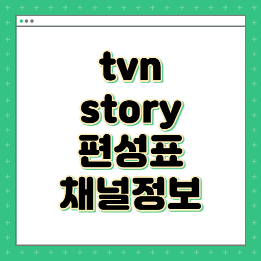 tvn story 편성표