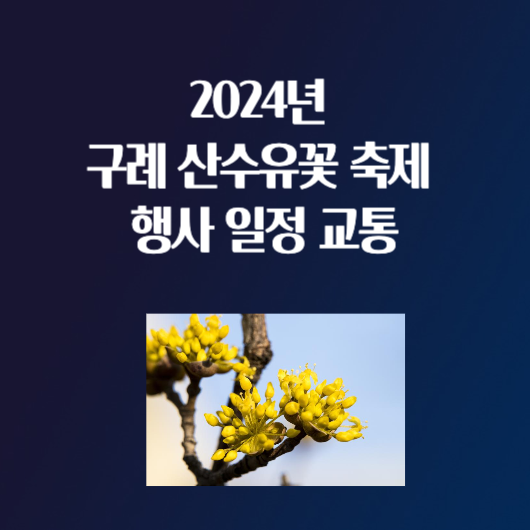 2024년 구례 산수유꽃 봄 꽃 축제 일정 행사 셔틀버스 주차