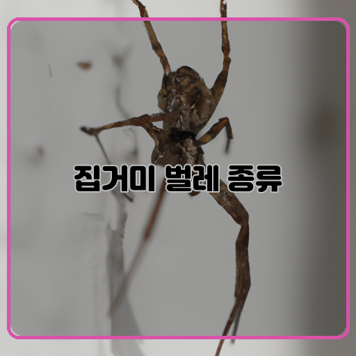 집거미-벌레-종류-베짱이-집거미-벌레-종류-대도시벌-집거미-벌레-특징-공포심