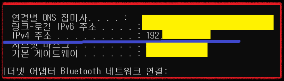 IPv4 확인