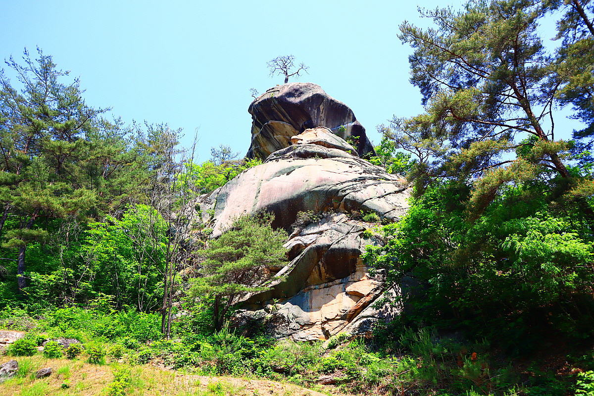 단양 올산