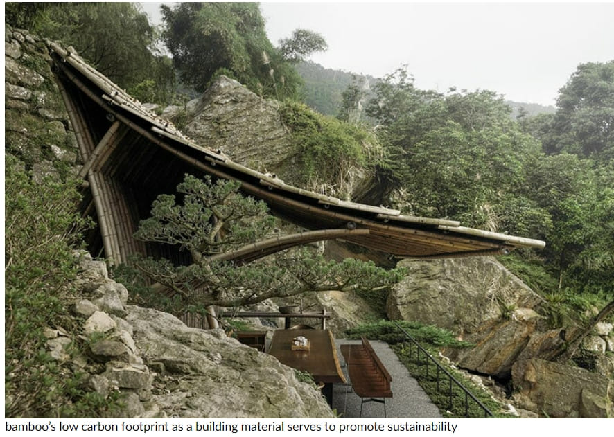 대만의 뱀부 캐노피 찻집 A bamboo canopy shelters teahouse in taiwan by behet bondzio lin architekten