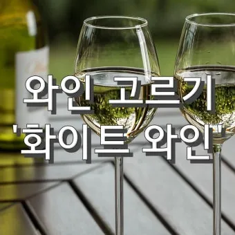 화이트 와인 종류 샤도네이 모스카토 리슬링 비교_9