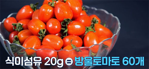 건강한 식습관은 장 건강의 시작