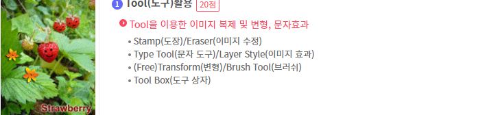 GTQ 그래픽기술자격 포토샵 일러스트 인디자인