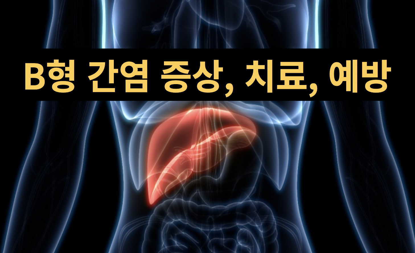  [건강정보] B형 간염 증상, 원인 살펴보기