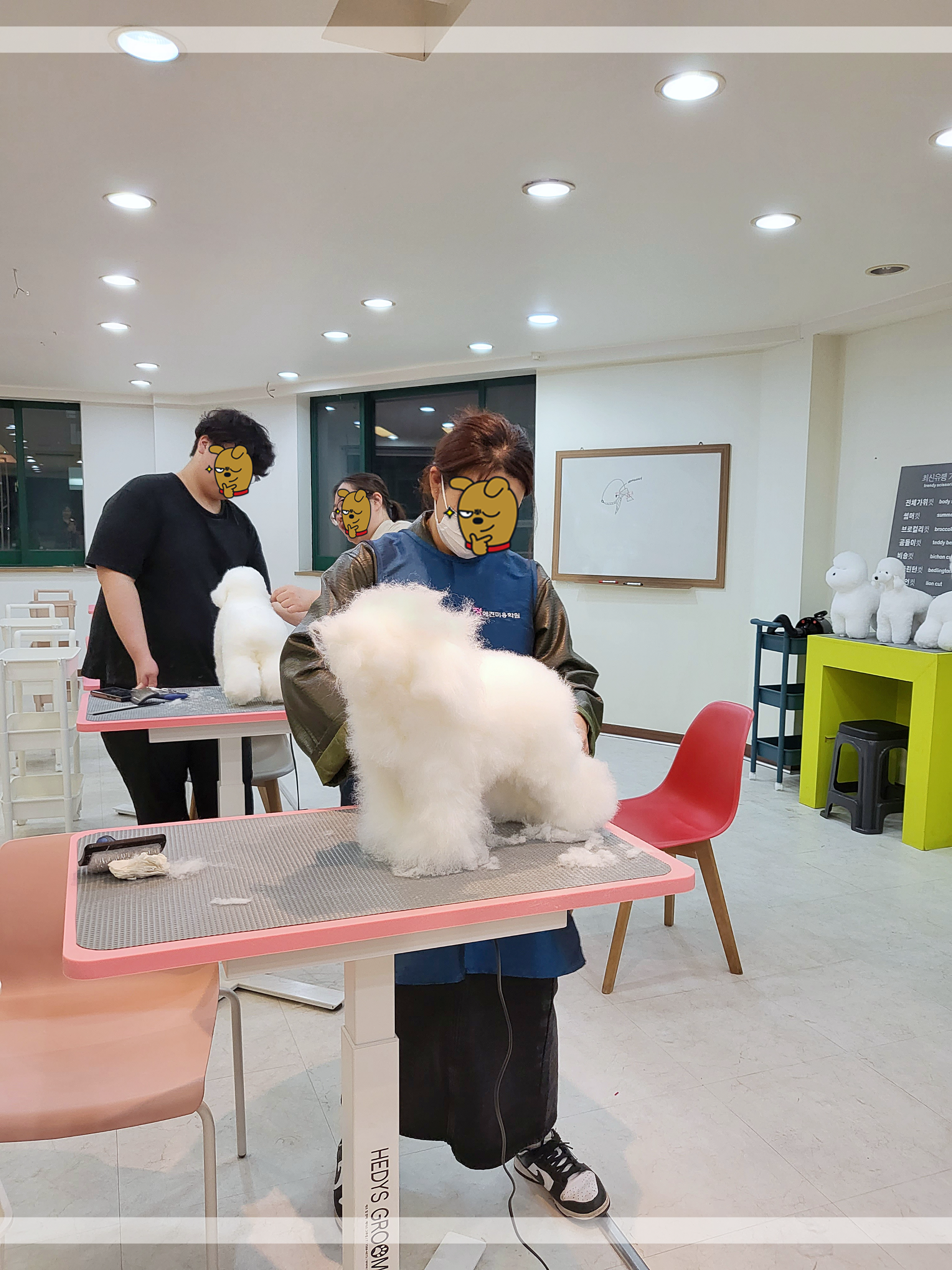 진해애견미용학원-정애견미용학원